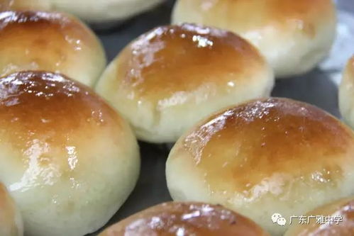 廣雅食堂榮獲食品安全A級認定并開展豐富歌舞活動，打造安全與活力校園環境